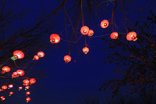 Red lanterns in the blue sky background