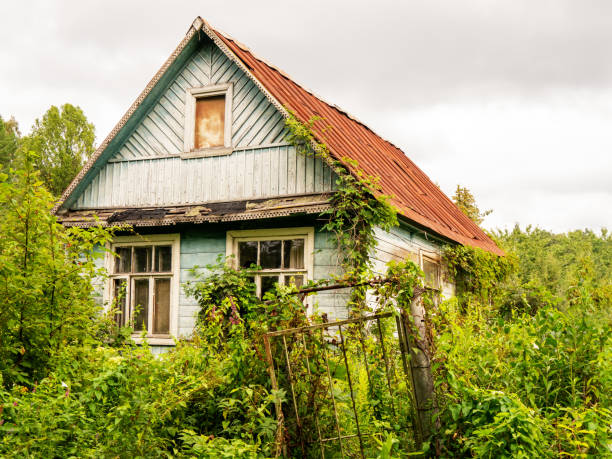 istock Old dilapidated wood cottage in green shrub side angle view 1720157040