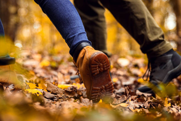 istock Close up of two hikers feet walking in forest. 1720161959