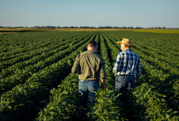 istock Two farmers in a field examining soy crop. 1720167073