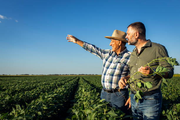 istock Two farmers in a field examining soy crop. 1720167074