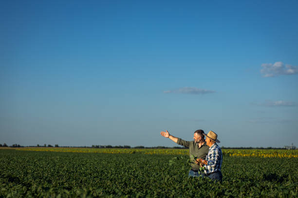istock Two farmers in a field examining soy crop. 1720167076