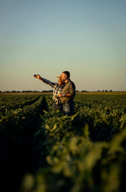 istock Two farmers in a field examining soy crop. 1720167483