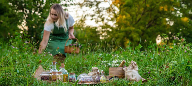 istock The woman collects medicinal herbs. Selective focus. 1720201333