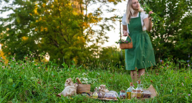 istock The woman collects medicinal herbs. Selective focus. 1720201341