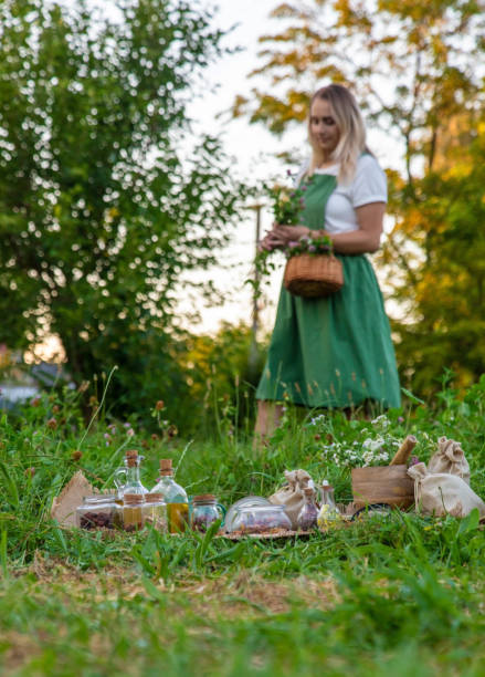 istock The woman collects medicinal herbs. Selective focus. 1720201345