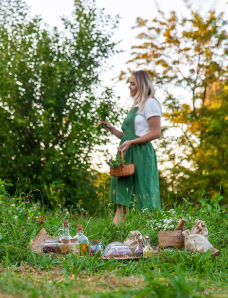 istock The woman collects medicinal herbs. Selective focus. 1720201351