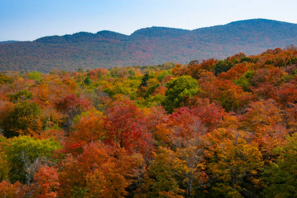 istock Fall color around Jay Peak tourist site 1720203603