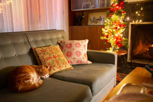 istock Cute cat in Christmas home 1720205286