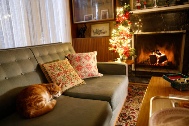 istock Cute cat in Christmas home 1720205292