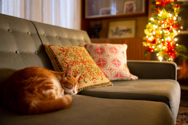 A cute cat is laying on the couch/ sofa in this cozy, Christmas-decorated home. The warm, festive mood is completed with the fire place and little christmas tree in the background