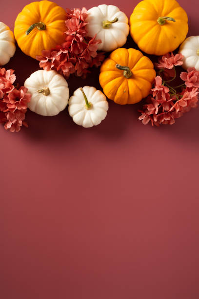 istock Autumn vertical background with pumpkins, fall decorations, flowers on brown background. Happy Thanksgiving, Harvest concept. Flat lay top view, copy space. 1720252821