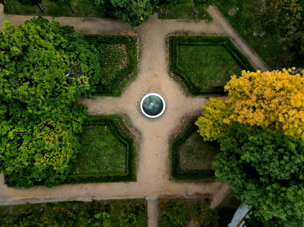 istock Pruned boxwood hedges are deep green and densely branched in spring. hedge trimmer is done by an experienced gardener.  cut leaves lie on the ground and will need cleaned gardening, baroque, formal 1720266799