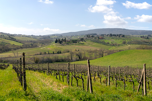 Landscape in Tuscany in Italy