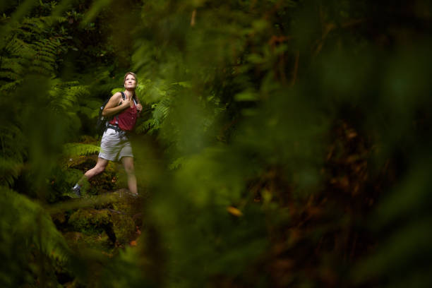 istock Smiling female backpacker among greenery in the forest. 1720328120