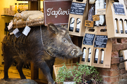 Stuffed wild boar outside Tuscan grocery store in Volterra.
