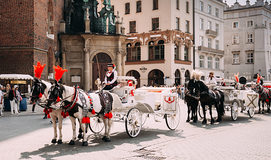Krakow, Poland - August 28, 2018: Two Horses In Old-fashioned Coach Carriage At Old Town Square In Sunny Summer Day. St. Mary's Basilica Famous Landmark On Background. Church of Our Lady Assumed into Heaven.