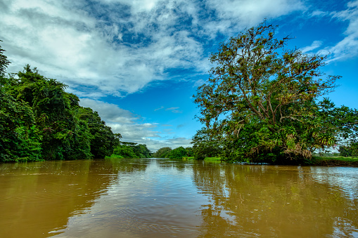 River Rio Frio channel with beautiful landscape of rainforest , POV view from canoe boat. Refugio de Vida Silvestre Cano Negro, Costa Rica wilderness landscape.
