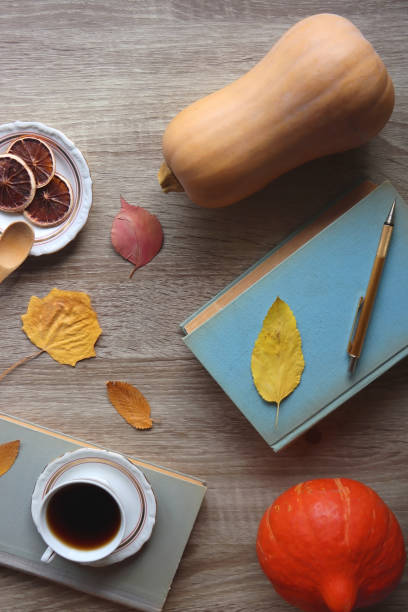 sweet food, hot drink and autumnal details - squash pumpkin orange japanese fall foliage imagens e fotografias de stock