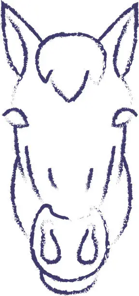 Vector illustration of Horse face hand drawn vector illustration