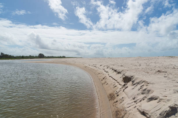 istock Waters from a river that flows into the sea. white sand on the beach. Preserved environment. 1720437038