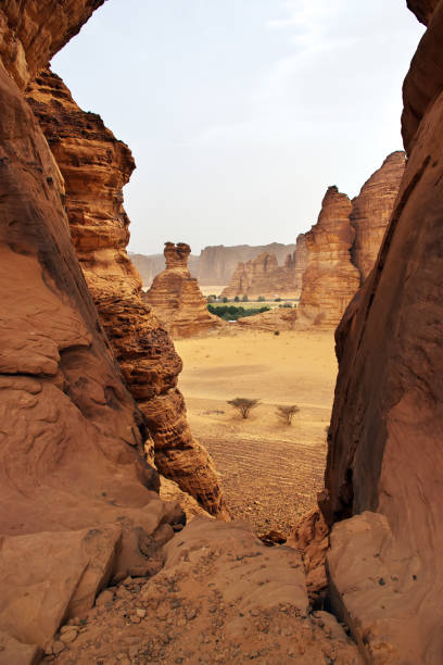istock Nature in the desert close Al Ula, Saudi Arabia 1720446317