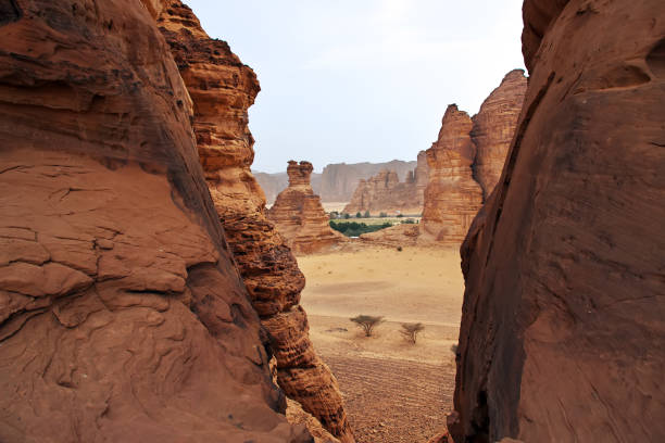 istock Nature in the desert close Al Ula, Saudi Arabia 1720446838