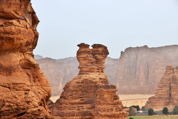 istock Nature in the desert close Al Ula, Saudi Arabia 1720446863