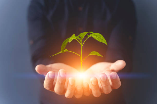 istock Global ESG technology concept. Bulb and holographic button. Environmental, Social, and Corporate Governance idea. 1720453084