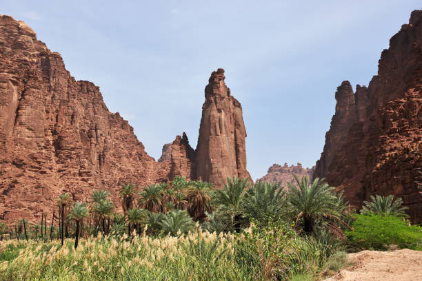 istock Wadi Disah, Al Shaq canyon, Saudi Arabia 1720462459
