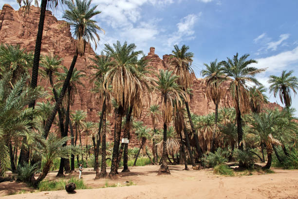 istock Wadi Disah, Al Shaq canyon, Saudi Arabia 1720463013