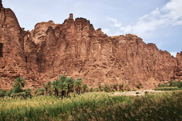 istock Wadi Disah, Al Shaq canyon, Saudi Arabia 1720463040
