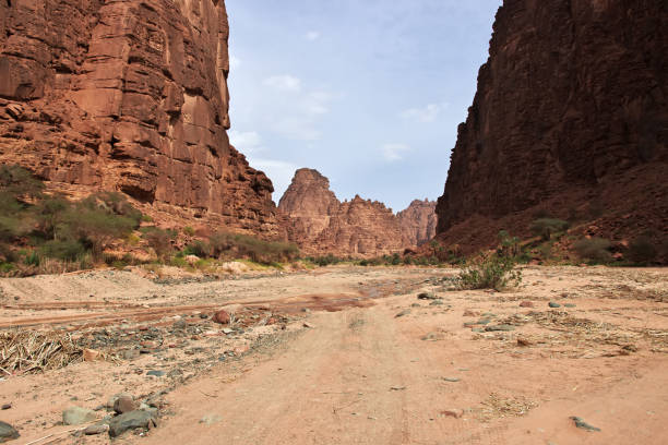 istock Wadi Disah, Al Shaq canyon, Saudi Arabia 1720463065