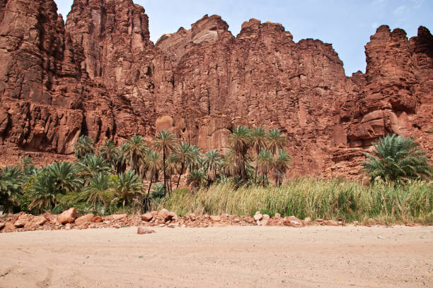istock Wadi Disah, Al Shaq canyon, Saudi Arabia 1720463593