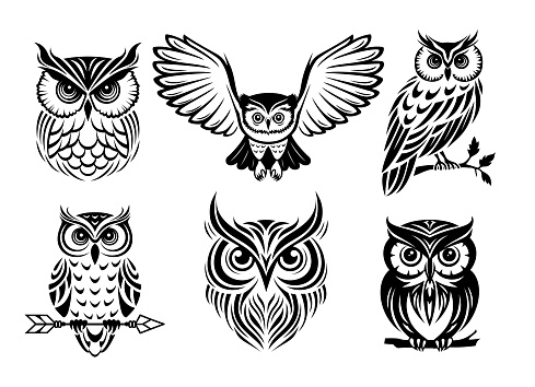 Set of owls silhouettes. Wild bird sign, vector emblem. Stylized black and white graphics.