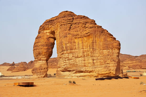 istock Stone Elephant in the desert close Al Ula, Saudi Arabia 1720483215
