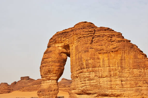 istock Stone Elephant in the desert close Al Ula, Saudi Arabia 1720483225