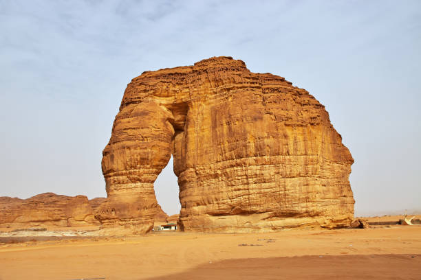 istock Stone Elephant in the desert close Al Ula, Saudi Arabia 1720483231