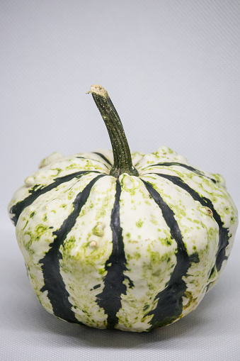 A vibrant green and white striped pumpkin sits proudly among a fall harvest of fresh produce, its unique hue and bold pattern standing out like a beacon of joy and bounty