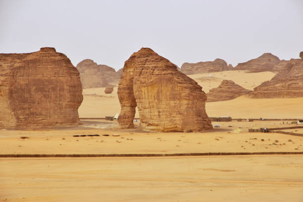 istock Stone Elephant in the desert close Al Ula, Saudi Arabia 1720484379