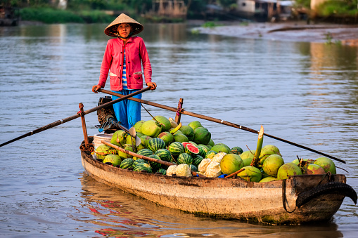 Vietnamese woman selling fruits on floating market, Mekong River Delta, Vietnam