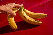 hand breaking off one banana from a branch of yellow ripe bananas on a red background