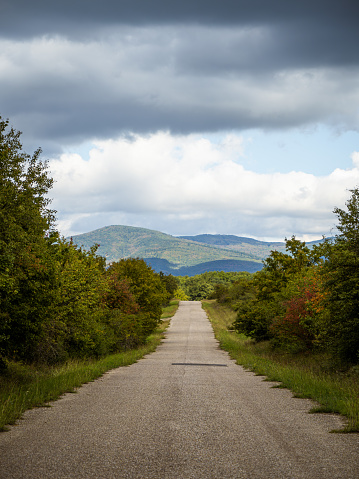 Empty straight forest road during autumn, colorful trees, rolling hills in the background, dramatic cloudy sky