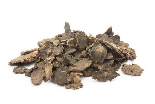 Scrophularia ningpoensis(Traditional Chinese Medicine),Xuanshen