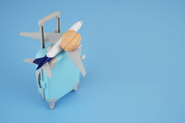 istock Human brain on suitcase and airplane on blue background. 1720530941