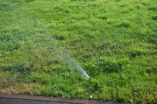 istock automatic lawn watering, automatic lawn watering system, automatic lawn watering water jet automatic lawn watering green lawn on a bright sunny day with a splash of water 1720549291