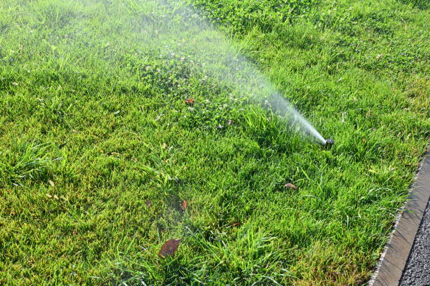 istock automatic lawn watering, automatic lawn watering system, automatic lawn watering water jet automatic lawn watering green lawn on a bright sunny day with a splash of water 1720551608