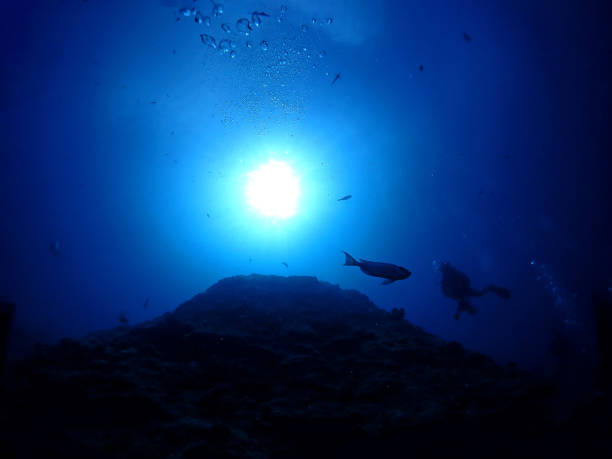 istock Dive around Ishigaki Island, a vast coral seabed 1720572454