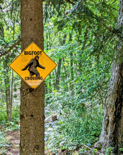 istock Sasquatch Crossing Sign in the Woods 1720574823