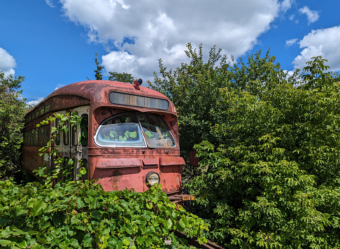 Forgotten Abandoned Rustic Old Electric Streetcar Overgrown Bush and Trees